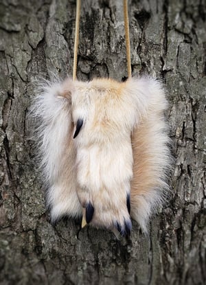 Image of Grey Wolf Paw Bag
