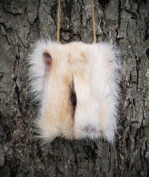 Image of Grey Wolf Paw Bag