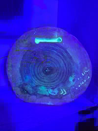 Image 6 of Dragonfly 3 tray 