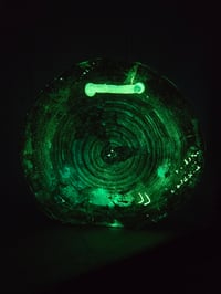 Image 7 of Dragonfly 3 tray 