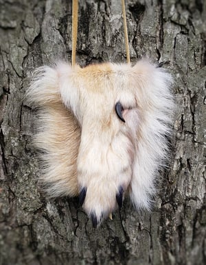Image of Grey Wolf Paw Bag