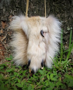 Image of Grey Wolf Paw Bag