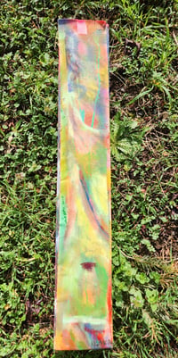 Image 1 of "The middle undissected"