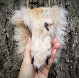 Image of Grey Wolf Paw Bag