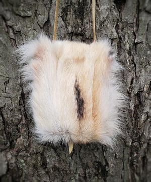 Image of Grey Wolf Paw Bag