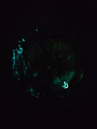 Image 7 of Black oak tray