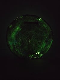 Image 7 of Wacky tabacky tray