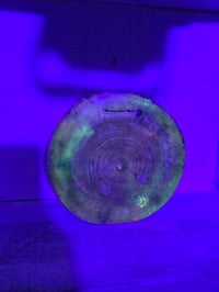 Image 6 of Wacky tabacky tray