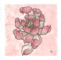 Pink Lotus (8x8") Original
