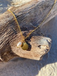 Image 1 of Pearl Scallop Necklace 