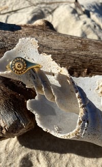 Image 1 of Sunshine Ring