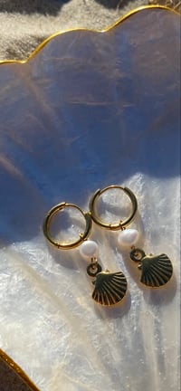 Image 2 of Pearly Shell Earrings