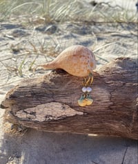 Image 3 of Pearly Shell Earrings