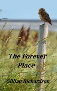 MG - The Forever Place (by Gillian Richardson)