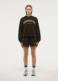 Image 3 of P.E NATION VINTAGE HOODIE - TURKISH COFFEE