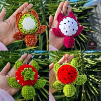 Image 1 of Handmade Crochet Fruit Turtle