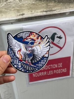 Image of PIGEON SACCAGEUR