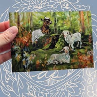 Notecard of Long Jump