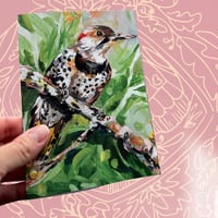 Notecard of Spotted & Dotted
