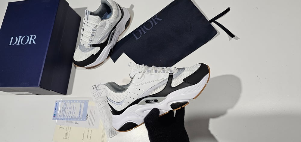 Image of Original Diors B22 (original-1v1)