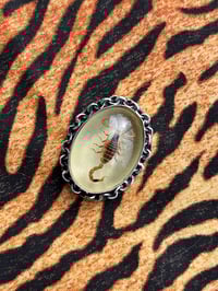 Image 4 of Sterlingsilber Ring mit hellem Skorpion