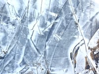 Image 3 of Walk Away