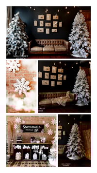 Image 5 of 2025 Christmas Minis (retainer only)