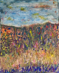 Wildflowers in a Field