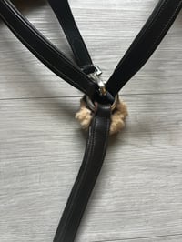 Image 5 of Five Point Elastic Breastplate - Full Sized