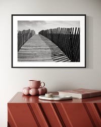 Image 2 of Cape Cod