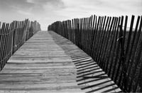 Image 1 of Cape Cod