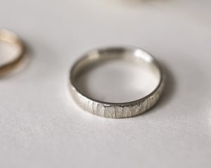 Image of SAMPLE SALE:  Horn texture rings