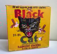 Image 1 of Black Cat 