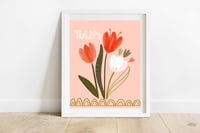 Pink Tulips Print