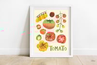 Heirloom Tomatoes Print