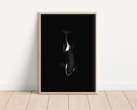 Image 1 of Orca Illustration Print