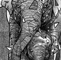 Image 5 of ELEPHANT FAMILY x STAND UP 4 ELEPHANTS