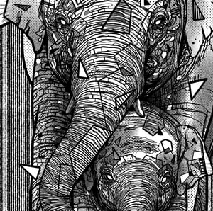ELEPHANT FAMILY x STAND UP 4 ELEPHANTS