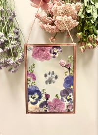 Image 1 of Pressed Flower Memorial (One Paw or Nose)