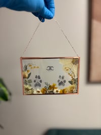 Image 1 of Pressed Flower Memorial (Nose & Paws)