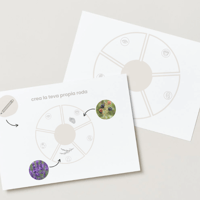 Image 7 of EXPLORA EL BOSC / EXPLORA EL BOSQUE