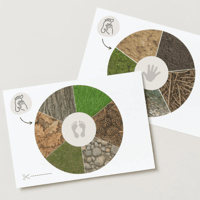 Image 5 of EXPLORA EL BOSC / EXPLORA EL BOSQUE