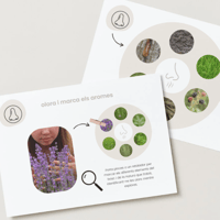 Image 6 of EXPLORA EL BOSC / EXPLORA EL BOSQUE