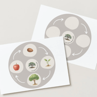 Image 2 of ELS ARBRES / LOS ÁRBOLES