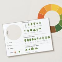 Image 6 of ELS ARBRES / LOS ÁRBOLES