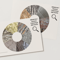 Image 7 of ELS ARBRES / LOS ÁRBOLES