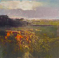 Image 1 of Montbretias at Ding Dong