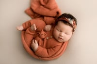 Image 2 of APRICOT COLLECTION | PREORDER