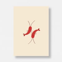 Image 1 of Albanian midsommar: Two is better than one