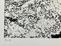 Image 5 of Huntcliff Wave II